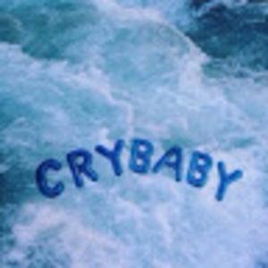 Meet your Posher, Smiley